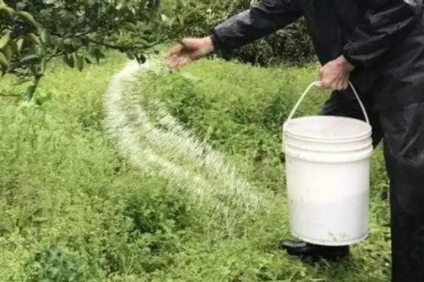 氮肥利用率不高是什么原因，可能是施肥量过大所致