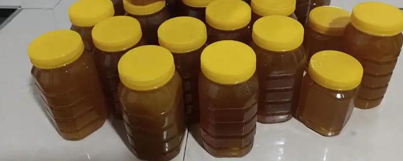 土蜂蜜的保质期，销售时标注为2年或18个月