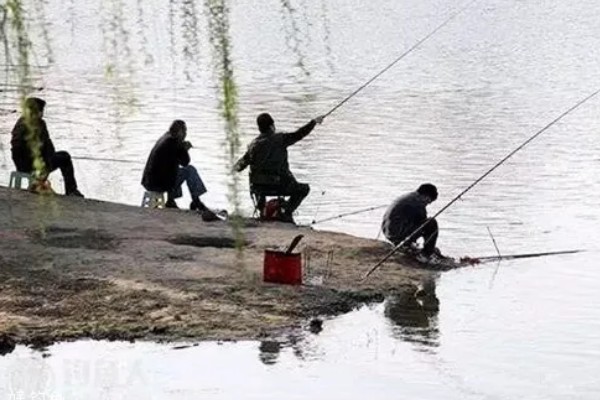 春天是钓深水还是浅水,需根据温度和鱼情决定