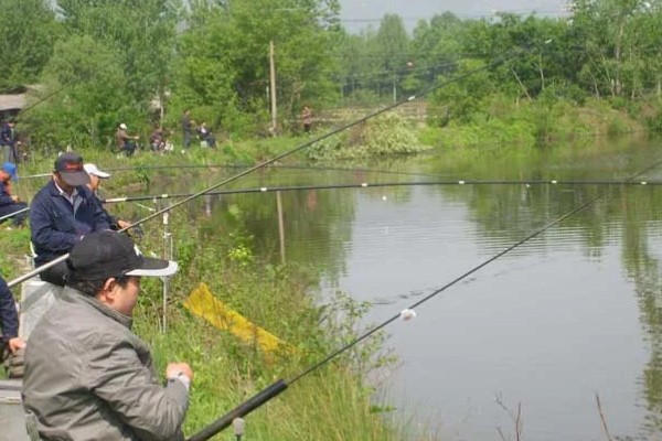 春天是钓深水还是浅水,需根据温度和鱼情决定
