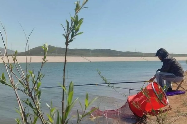 春天是钓深水还是浅水,需根据温度和鱼情决定