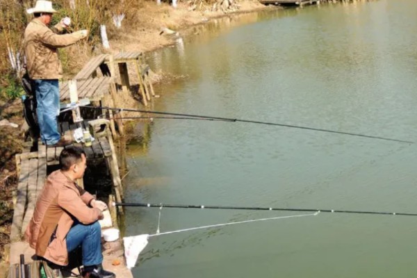 春天是钓深水还是浅水,需根据温度和鱼情决定