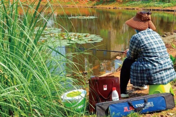 春天是钓深水还是浅水,需根据温度和鱼情决定