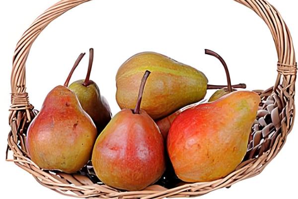 怎么挑选水果,根据不同种类的特点做选择