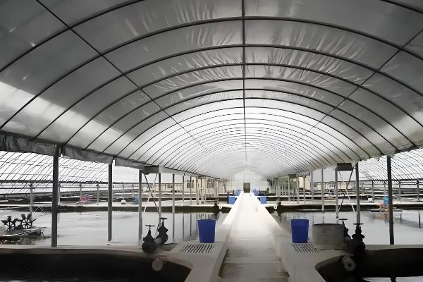 大棚养殖对虾的水温,生长温度25℃-32°C