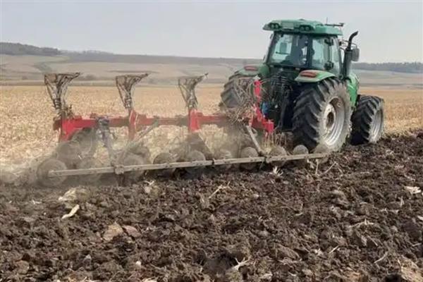 春玉米的种植方法，1亩地大概种植5000株左右