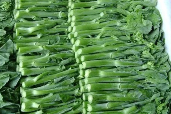 芥蓝能不能用冰箱保存,用保鲜膜包裹后再冷藏