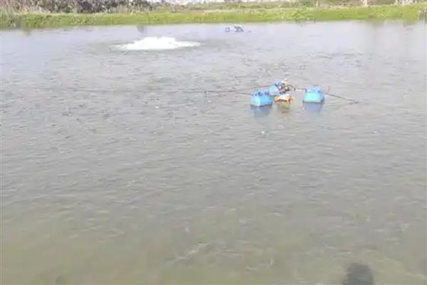 倒刺鲃与草鱼有什么区别，前者属于倒刺鲃属、后者属于草鱼属