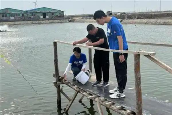 倒刺鲃与草鱼有什么区别，前者属于倒刺鲃属、后者属于草鱼属