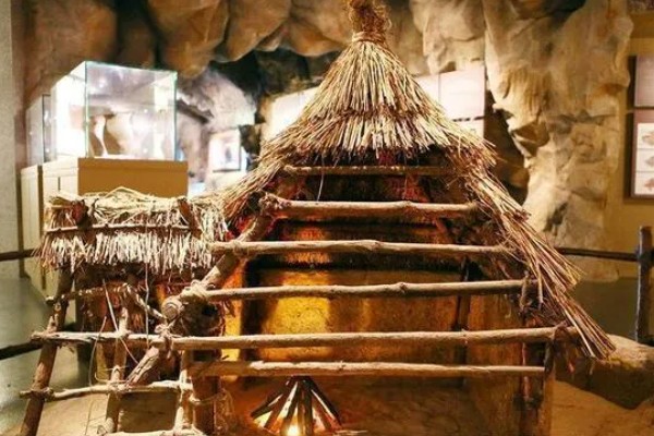 半坡人养哪些家畜,以猪和狗为主