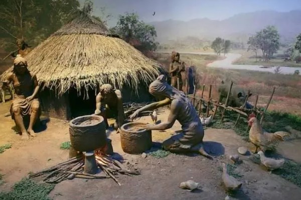 半坡人养哪些家畜,以猪和狗为主