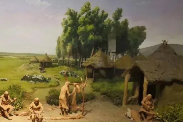 半坡人养哪些家畜,以猪和狗为主