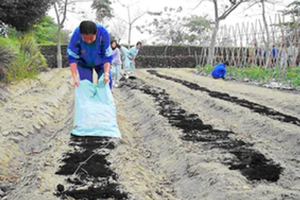 香菜又叫什么，又叫胡荽、香荽、芫荽、胡菜