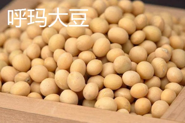 林甸县有什么特产，胜利大米是不能缺少的伴手礼