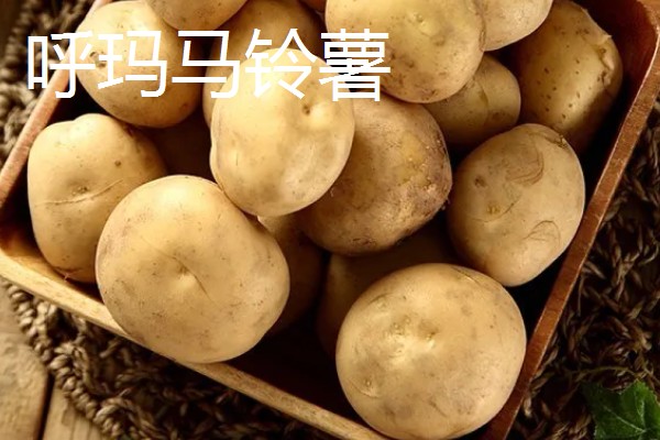 林甸县有什么特产，胜利大米是不能缺少的伴手礼