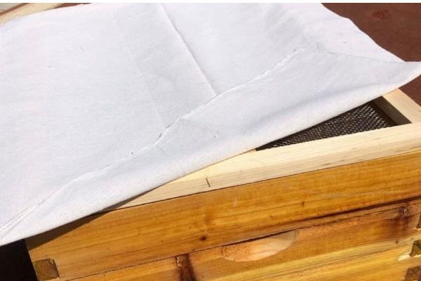 蜂箱的适宜颜色，黄色、白色、蓝色都很合适