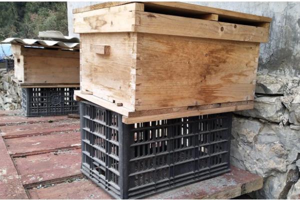 蜂箱的适宜颜色，黄色、白色、蓝色都很合适