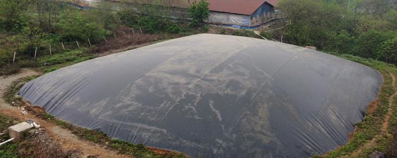黑膜沼气池的利和弊，可以完美利用牲畜的粪便以及污水