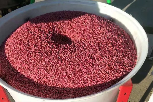 小麦全蚀病怎么防治，与棉花、烟草等作物进行轮作可降低发病率