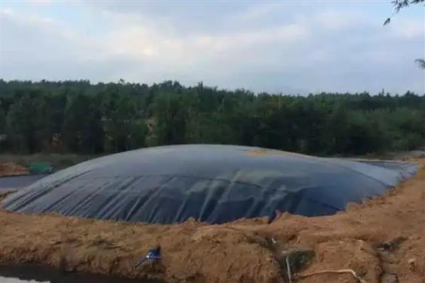 黑膜沼气池的利和弊，可以完美利用牲畜的粪便以及污水