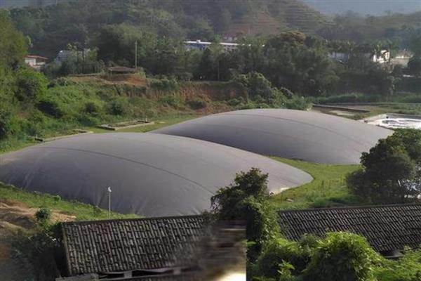 黑膜沼气池的利和弊，可以完美利用牲畜的粪便以及污水