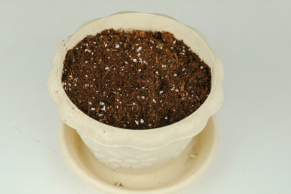 玉露的养殖方法，生长盛期每个月追肥1-2次