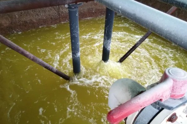 水蛭的价格，清水货价格大约600-650元一斤