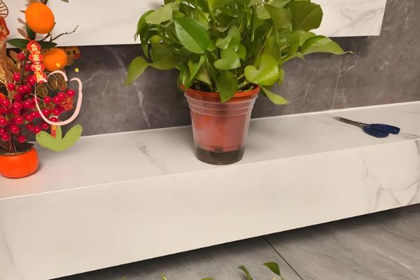 绿萝叶尖有水珠的原因,是因为浇水过多或环境湿度过大