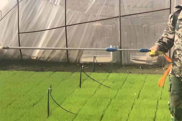 二甲四氯除草剂的用法，针对不同作物的用法不同