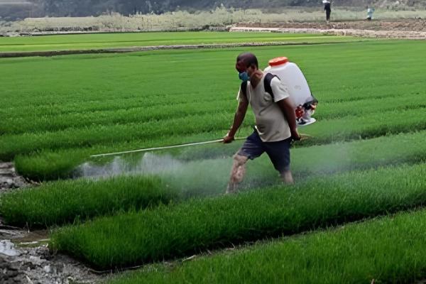 二甲四氯除草剂的用法，针对不同作物的用法不同
