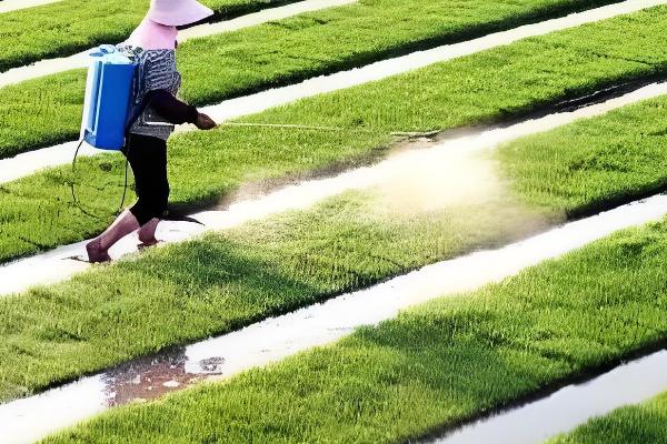 二甲四氯除草剂的用法，针对不同作物的用法不同