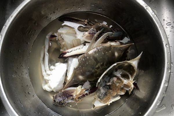 红膏蟹和梭子蟹的区别，本质上并没有区别