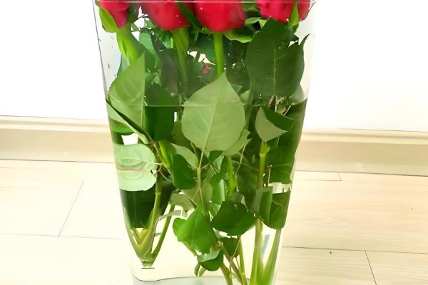 鲜花保鲜的方法，可利用化学保鲜剂保鲜