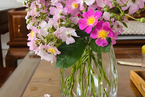 鲜花保鲜的方法，可利用化学保鲜剂保鲜