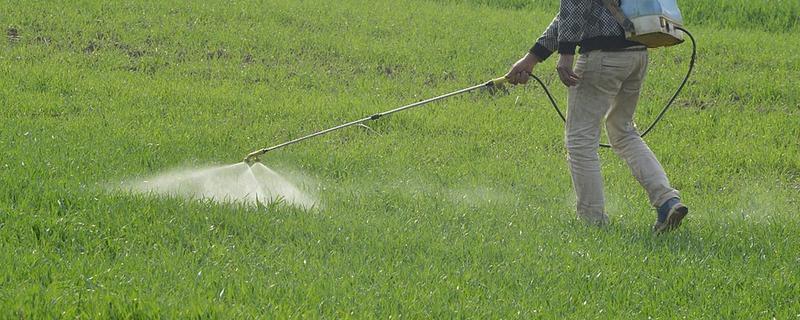 使用除草剂的注意事项，首先要正确选药