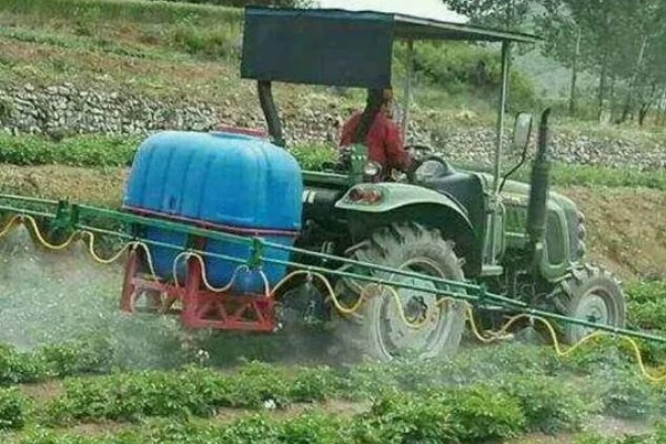 萝卜出苗后要培土吗,出苗后需要培土