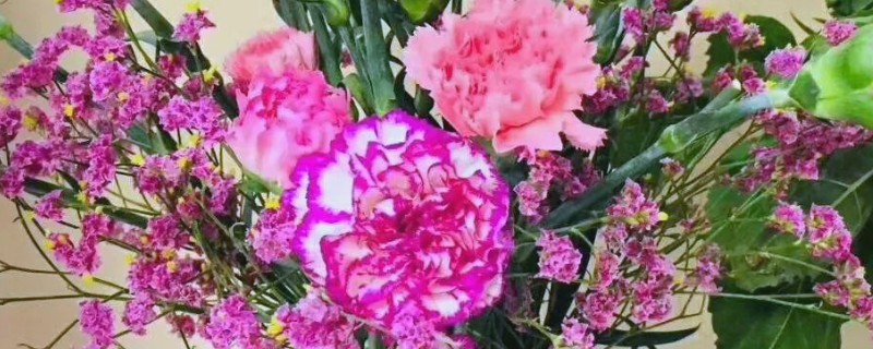 鲜花要每天都换水吗，无需每天都换水