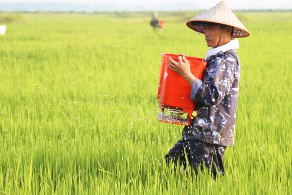 什么是腐殖酸，分成煤类物质和非煤类物质