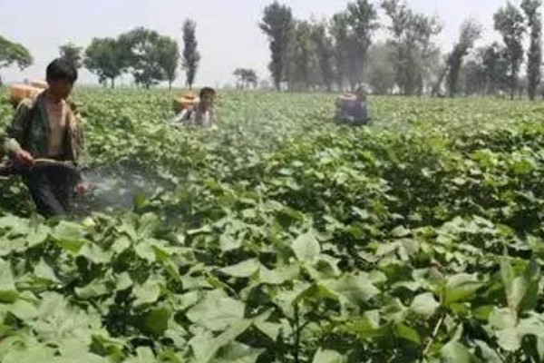 什么是腐殖酸，分成煤类物质和非煤类物质