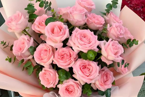 玫瑰花的花语，寓意爱情、美丽、勇敢等