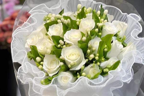 玫瑰花的花语，寓意爱情、美丽、勇敢等