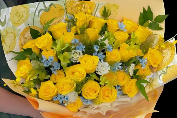 玫瑰花的花语，寓意爱情、美丽、勇敢等