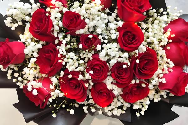 玫瑰花的花语，寓意爱情、美丽、勇敢等