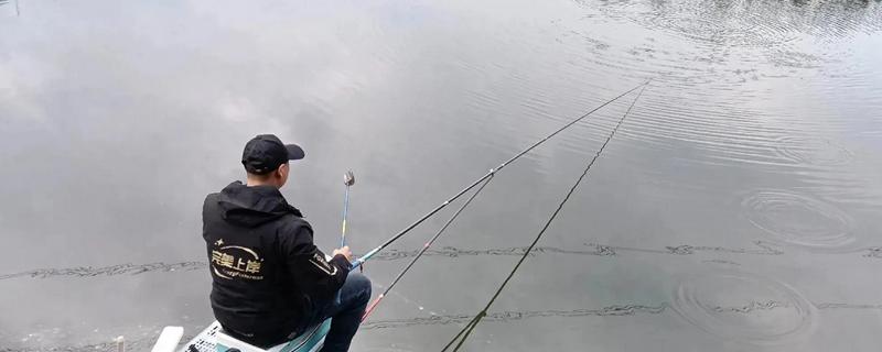 初春钓鱼在深水还是浅水，一般在深水中作钓