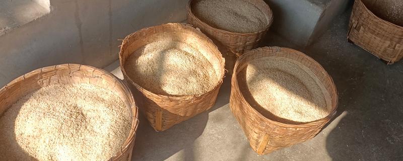 一斤谷子可以打多少米，能打0.7斤米左右