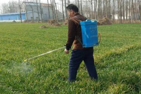 使用除草剂的注意事项,首先要正确选药