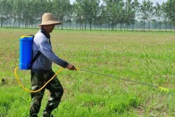 使用除草剂的注意事项,首先要正确选药