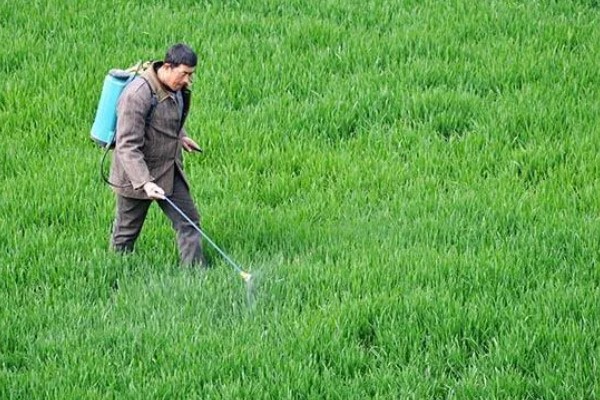 使用除草剂的注意事项,首先要正确选药