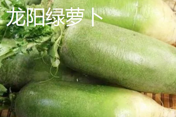 山东滕州的特产，有马铃薯、龙阳绿萝卜等