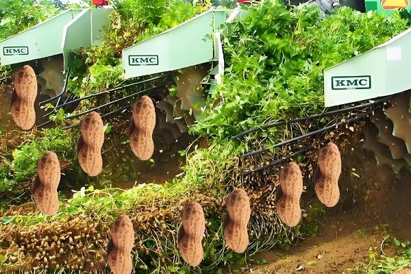 花生剥壳机是如何工作，脱壳后花生壳会被风力吹出机外